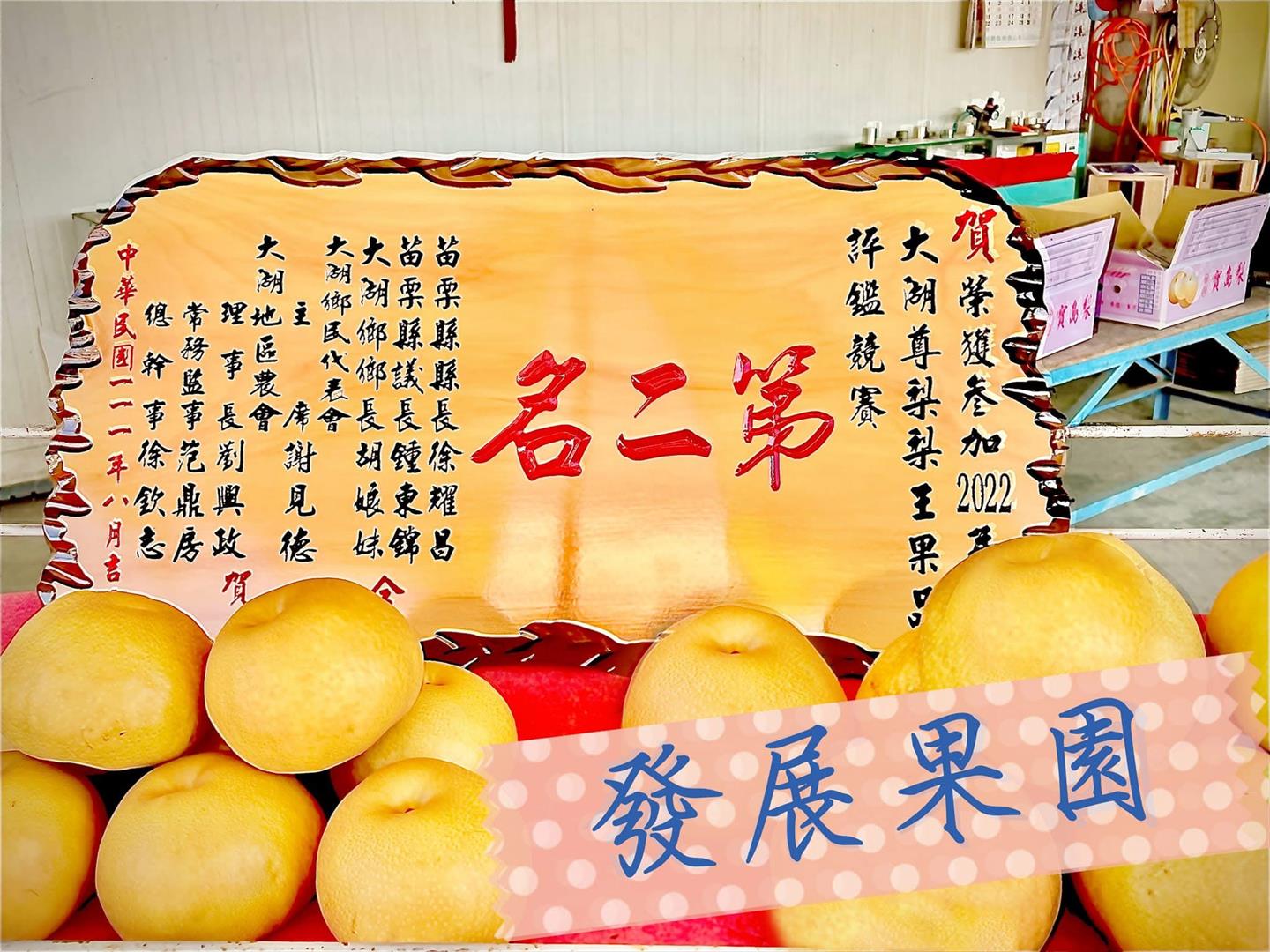 民國111年獲大湖地區水梨評鑑第二名