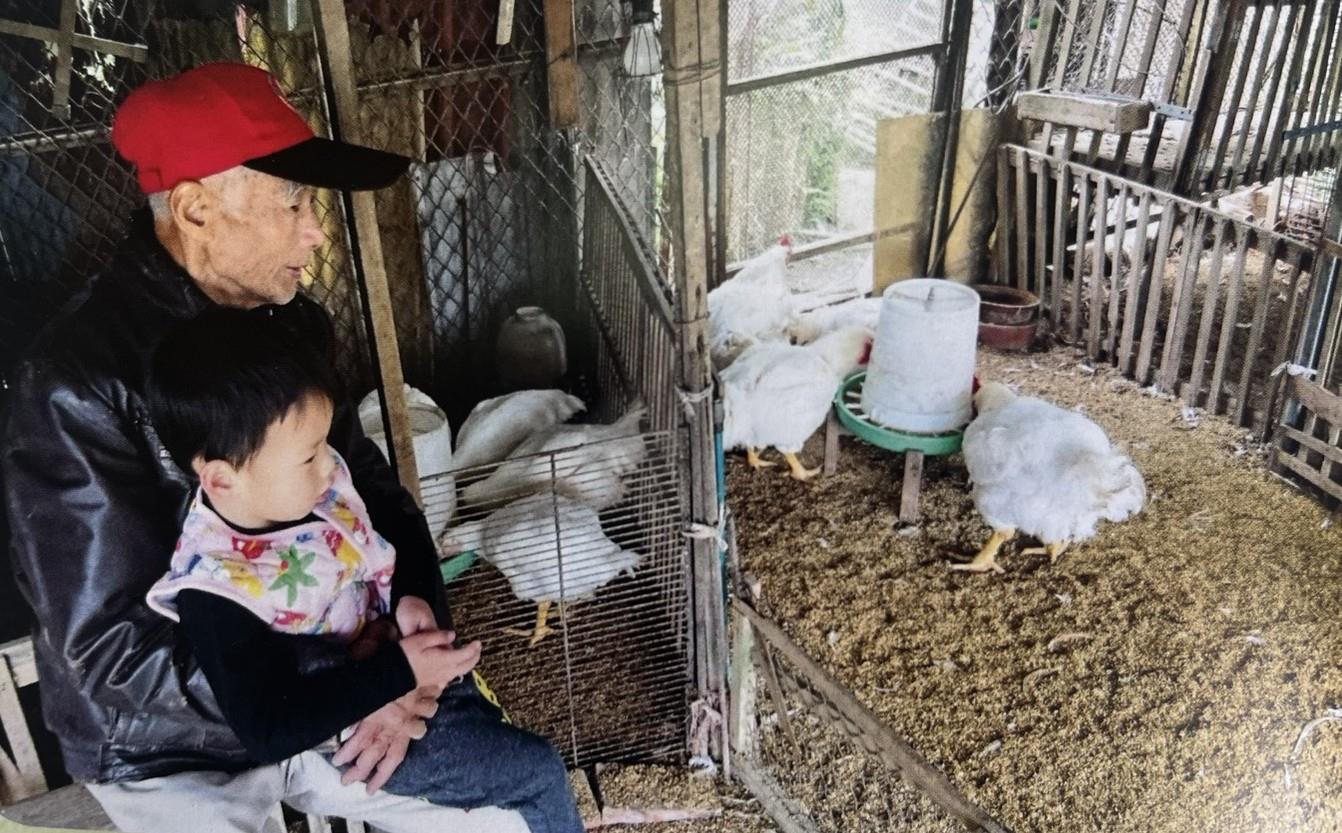 邱鎮江環抱曾孫餵食雞群