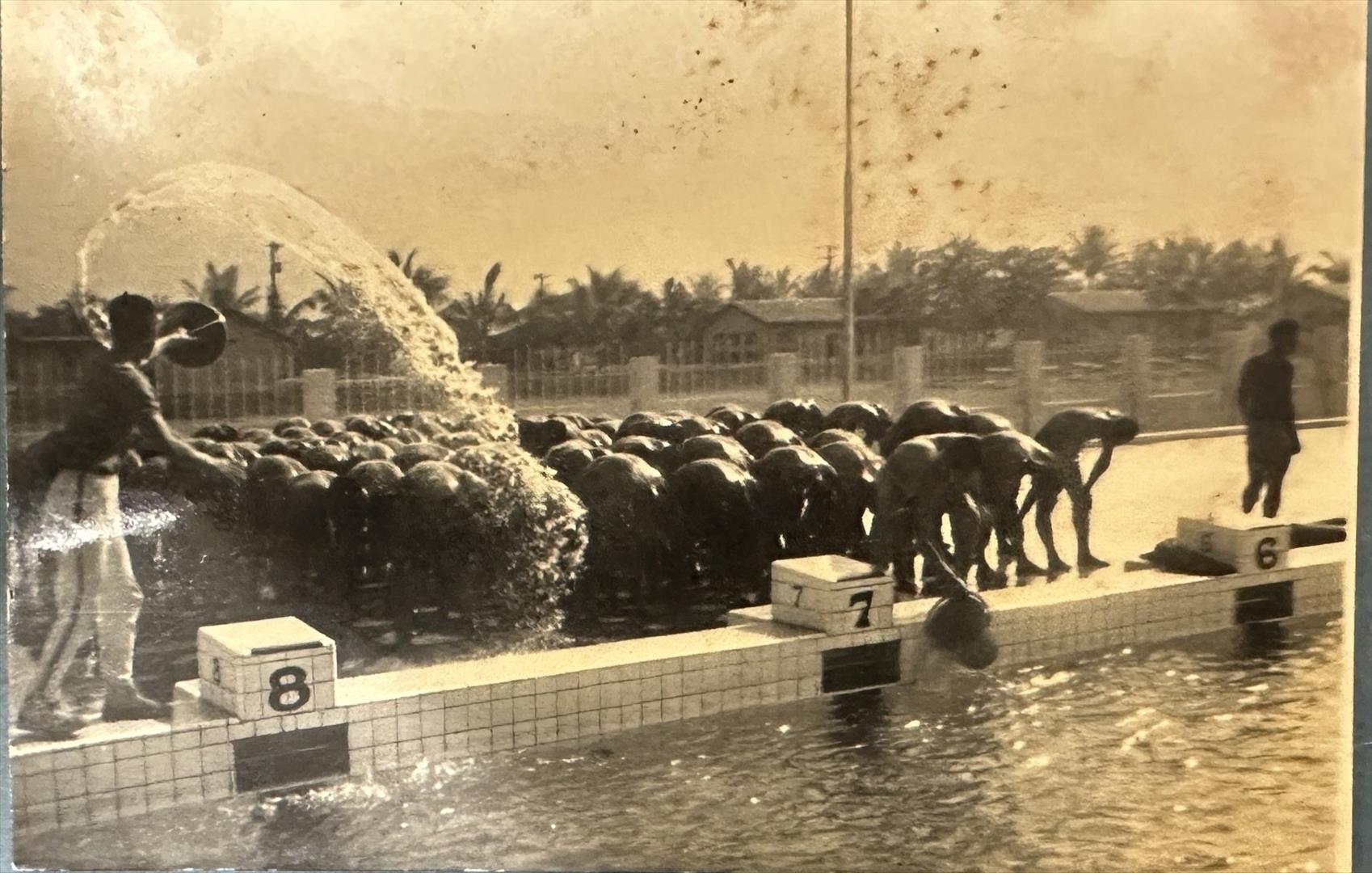 王筱航（左1）正在訓練兩棲偵察專長隊第17期的學員