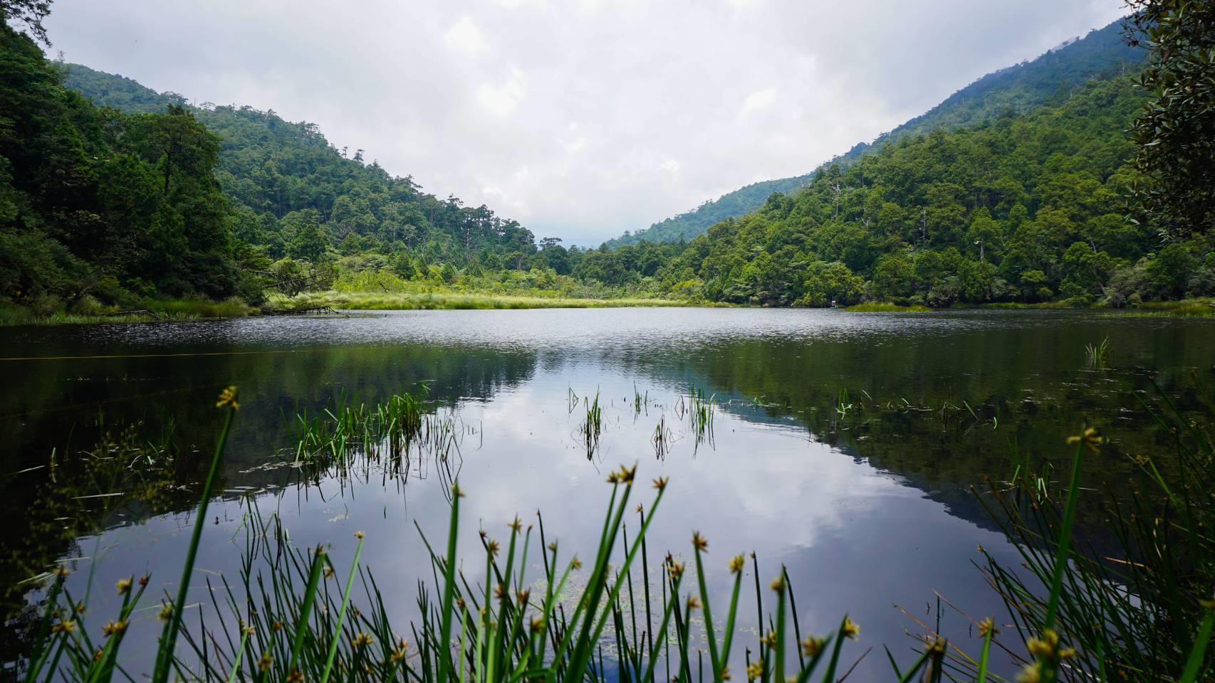 鴛鴦湖自然保留區-3
