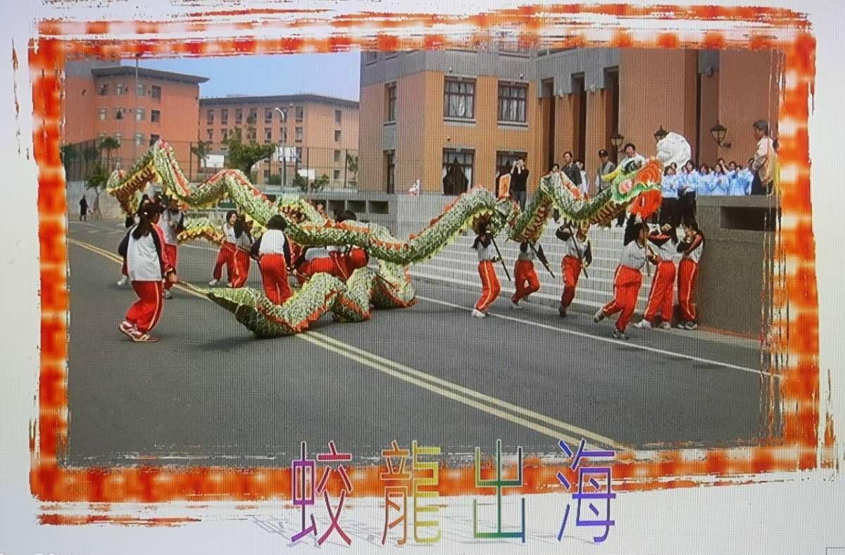 舞龍表演-蛟龍出海
