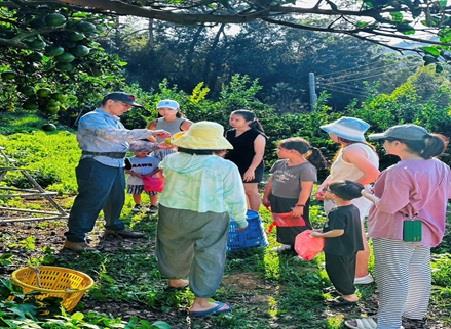 黃成銓先生於（左一）農場向遊客導覽解說採果技巧。