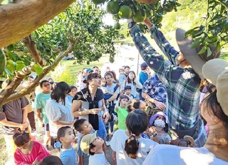 台中市某幼兒園蒞臨農埸露營由黃成銓先生於農場導覽解說採果方式。