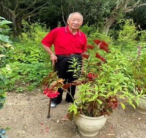 開心花園－鳳仙花秋海棠