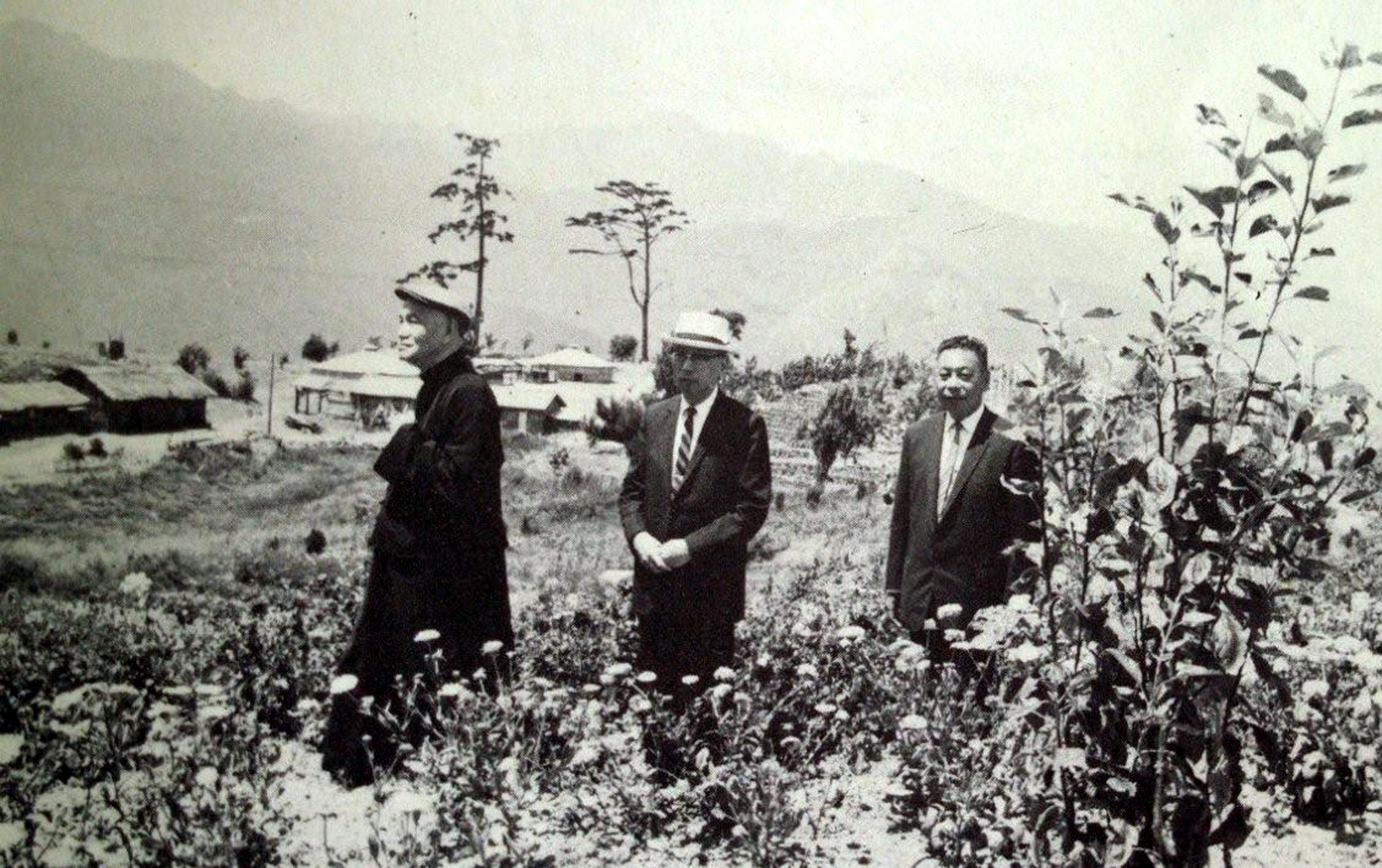 民國53 年7 月23 日總統蔣公，偕行政院長嚴家淦、國防部副部長經國先生等，視察「福壽山農場」苗圃區的耕種情形。(1)